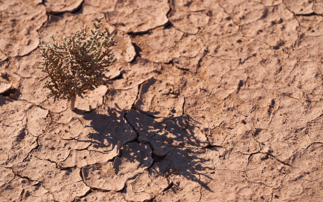 LA SALUTE DEL SUOLO ITALIANO AL TEMPO DELLA CRISI CLIMATICA
